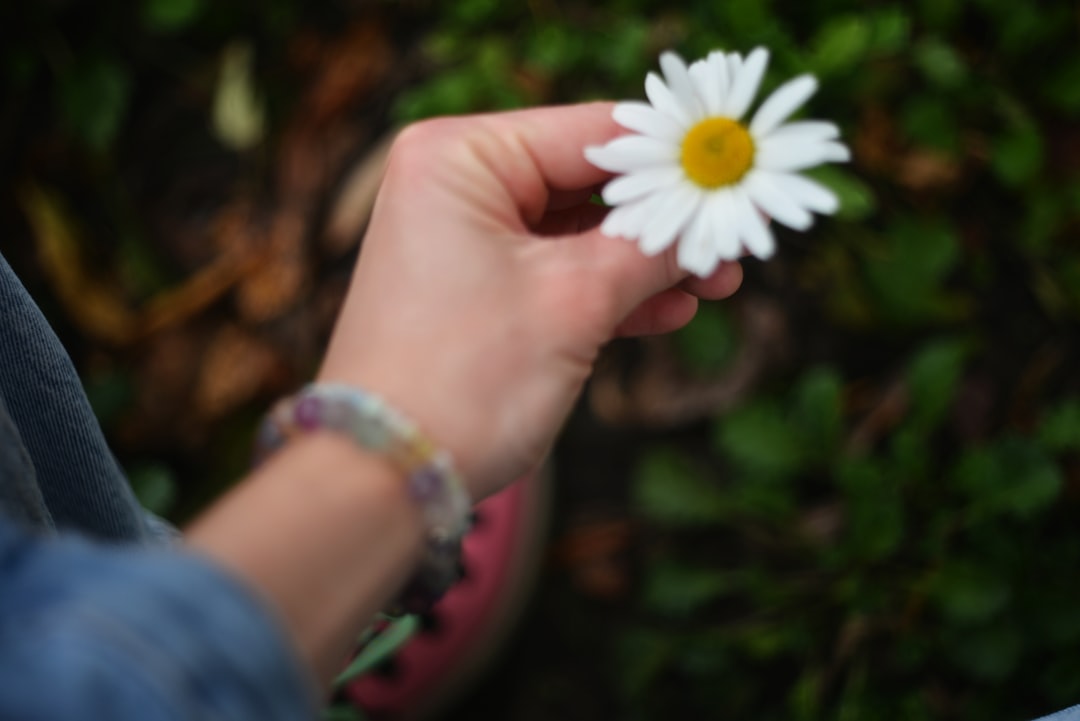 Bylinkové zahrady v přírodním stylu